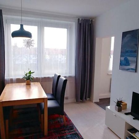 F3 - "Gemuetlich Mit Kunst" Apartment Dresda Exterior foto